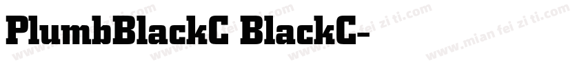 PlumbBlackC BlackC字体转换